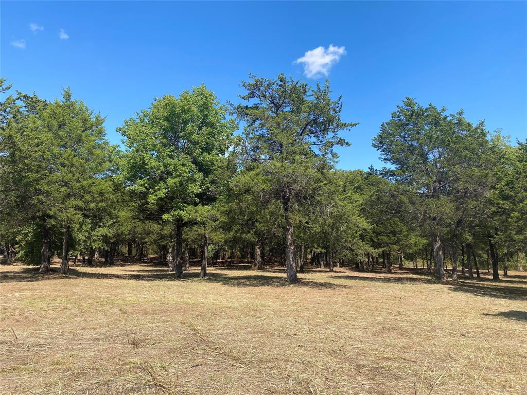 1648 Stuckey Road Property Photo 14