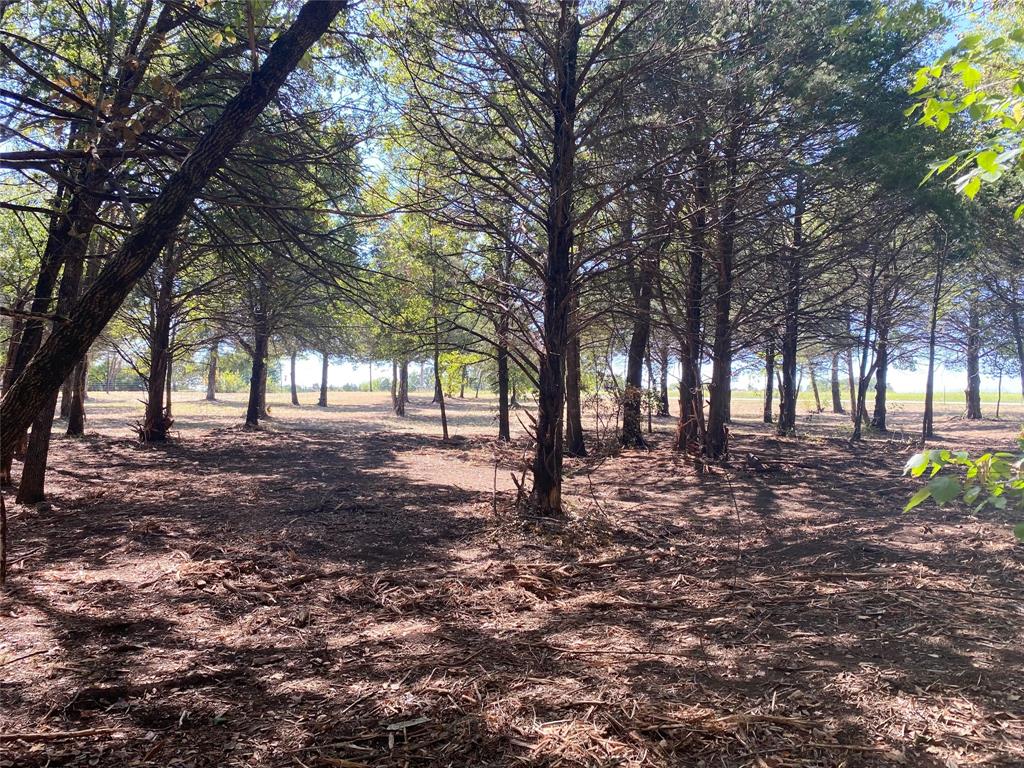 1648 Stuckey Road Property Photo 15