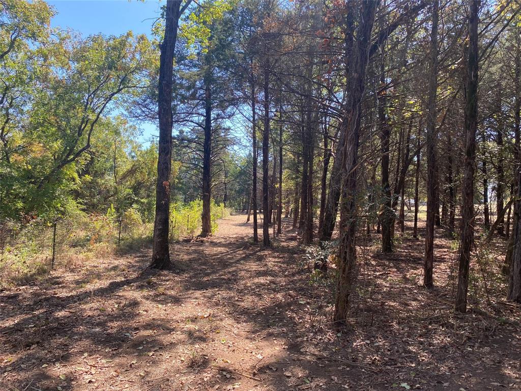1648 Stuckey Road Property Photo 16