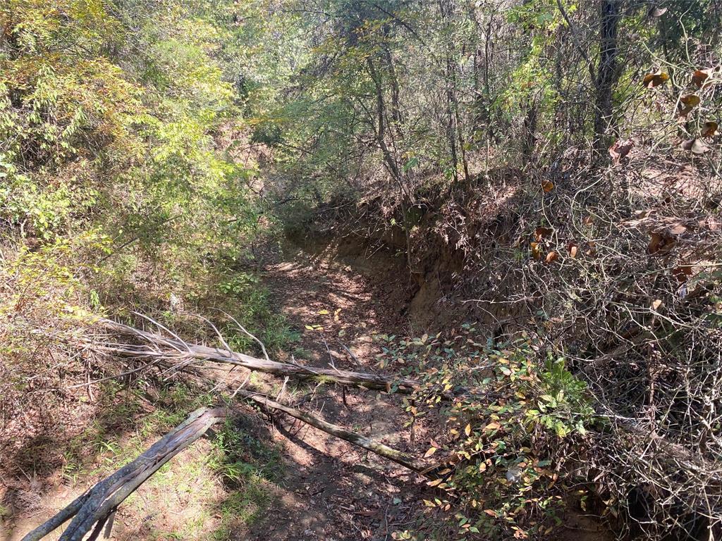 1648 Stuckey Road Property Photo 18