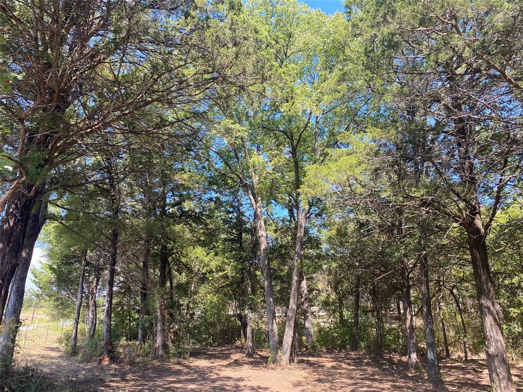 1648 Stuckey Road Property Photo 19