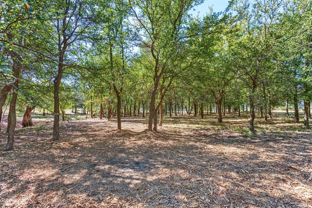 524 Texas Longhorn Trail Property Photo 2