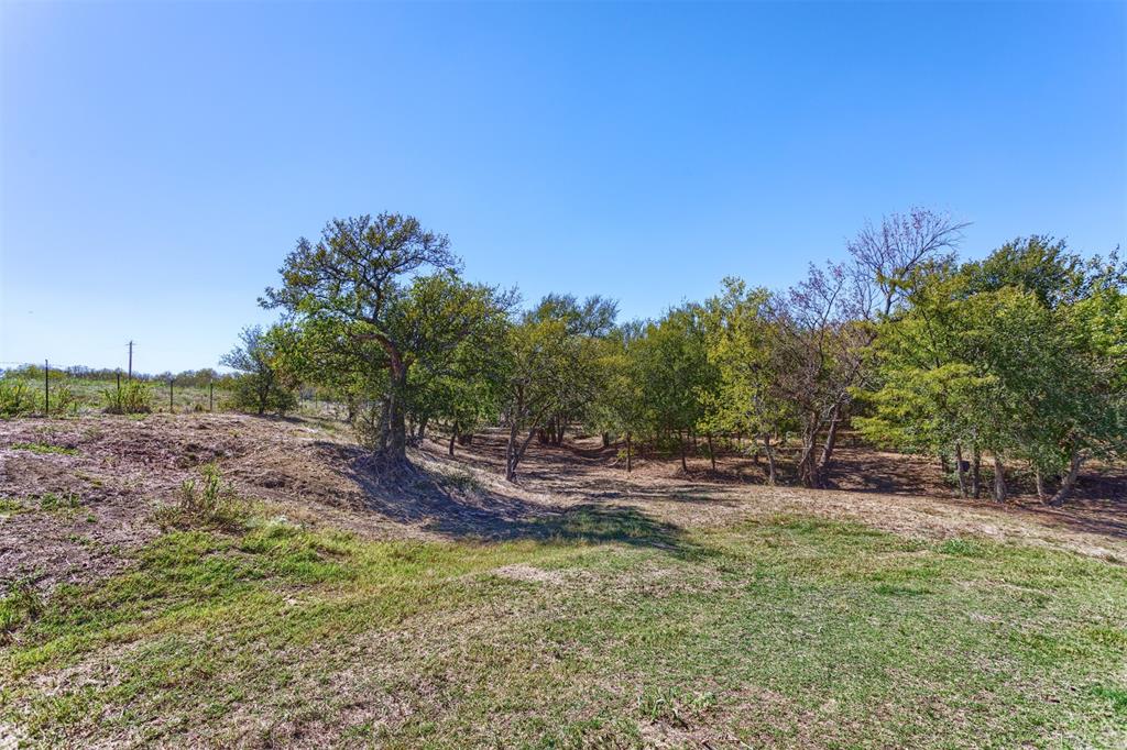 524 Texas Longhorn Trail Property Photo 13