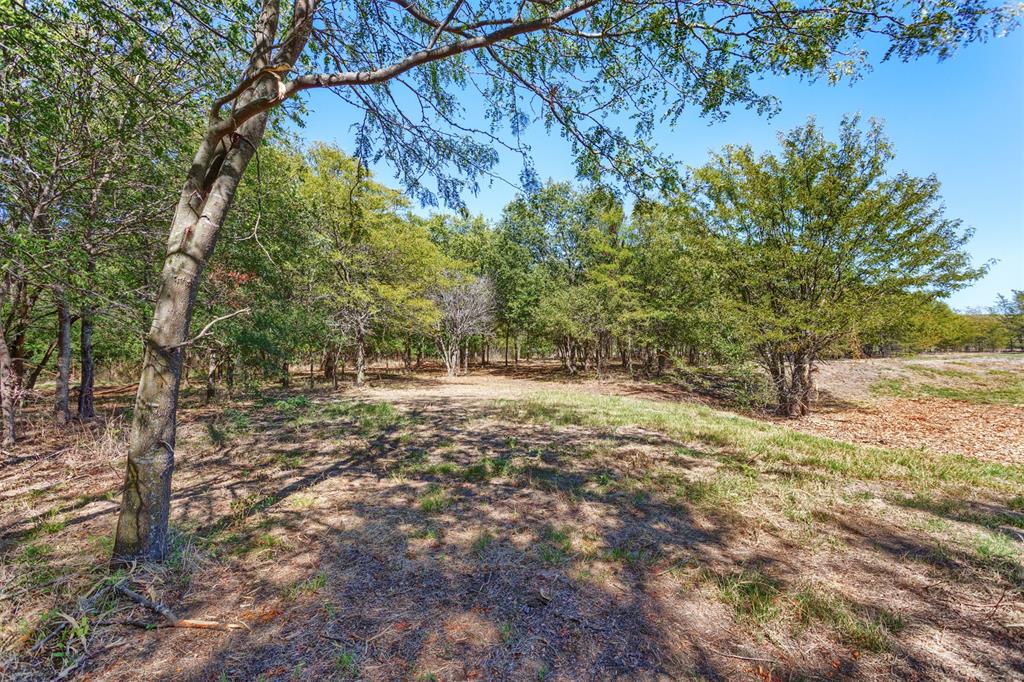 524 Texas Longhorn Trail Property Photo 15