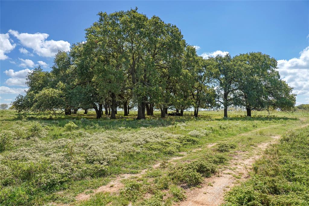 Tbd 59 Highway Property Photo 2