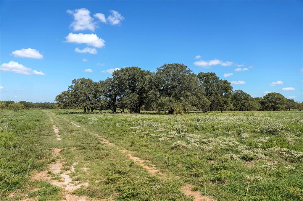 Tbd 59 Highway Property Photo 9