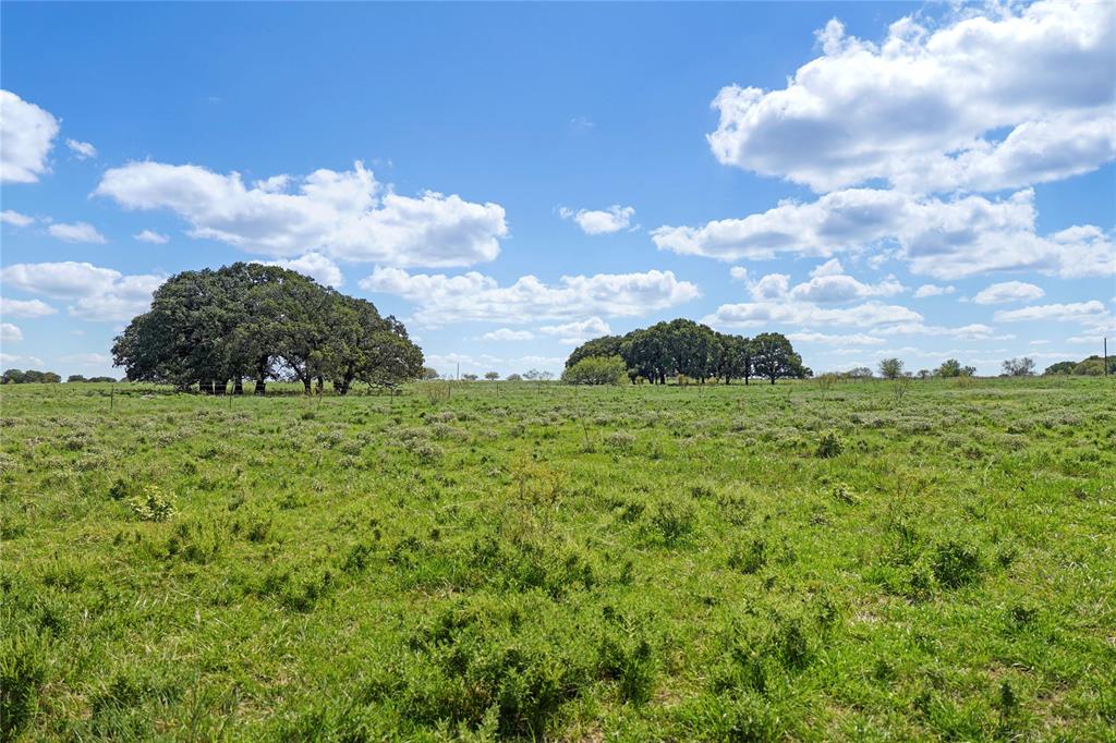 Tbd 59 Highway Property Photo 12