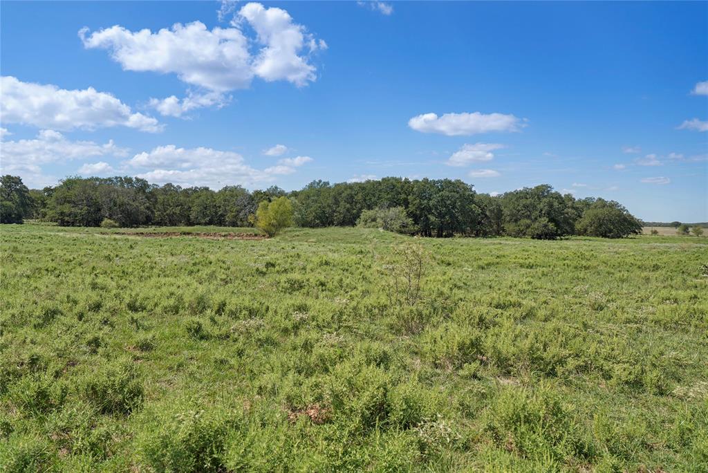 Tbd 59 Highway Property Photo 23