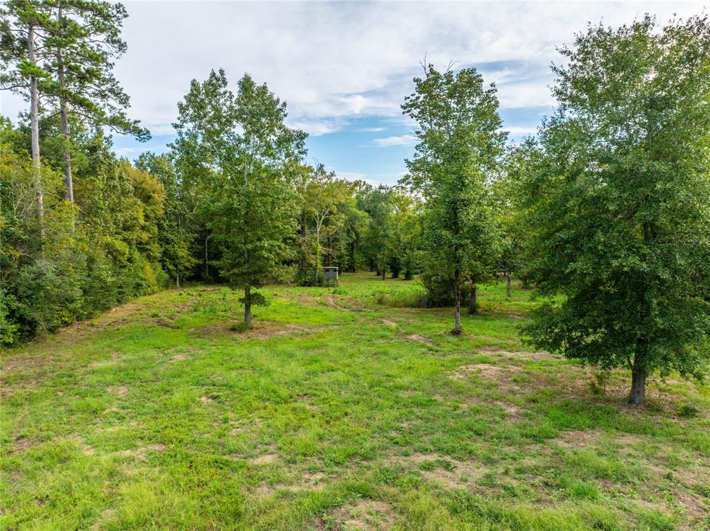 11884 E County Road 398 Property Photo 22