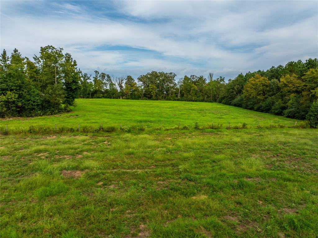 11884 E County Road 398 Property Photo 23