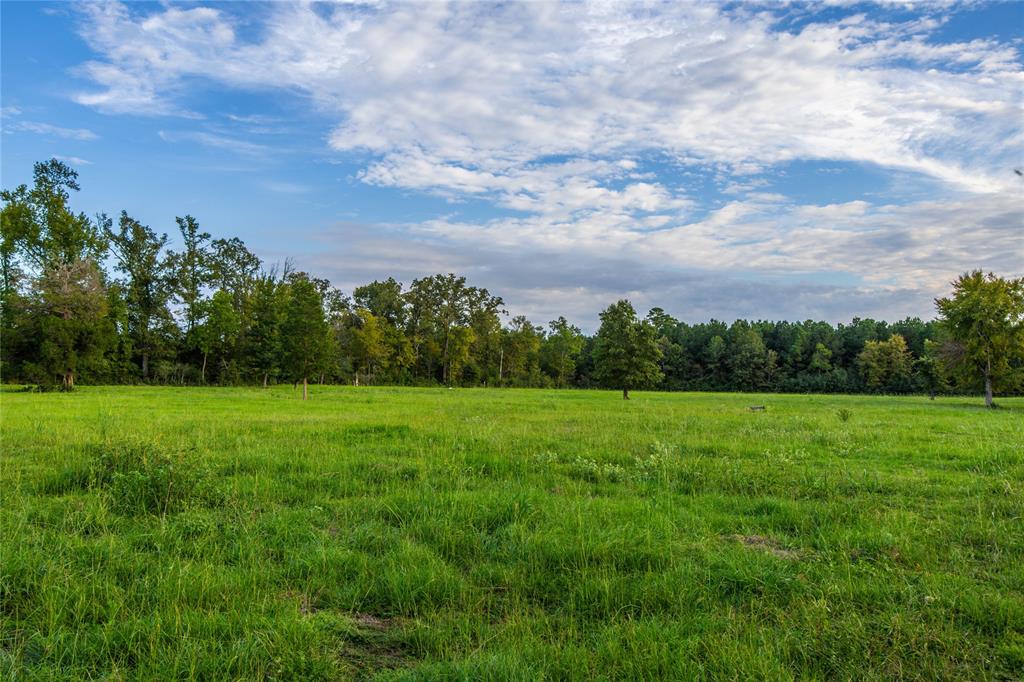 11884 E County Road 398 Property Photo 30