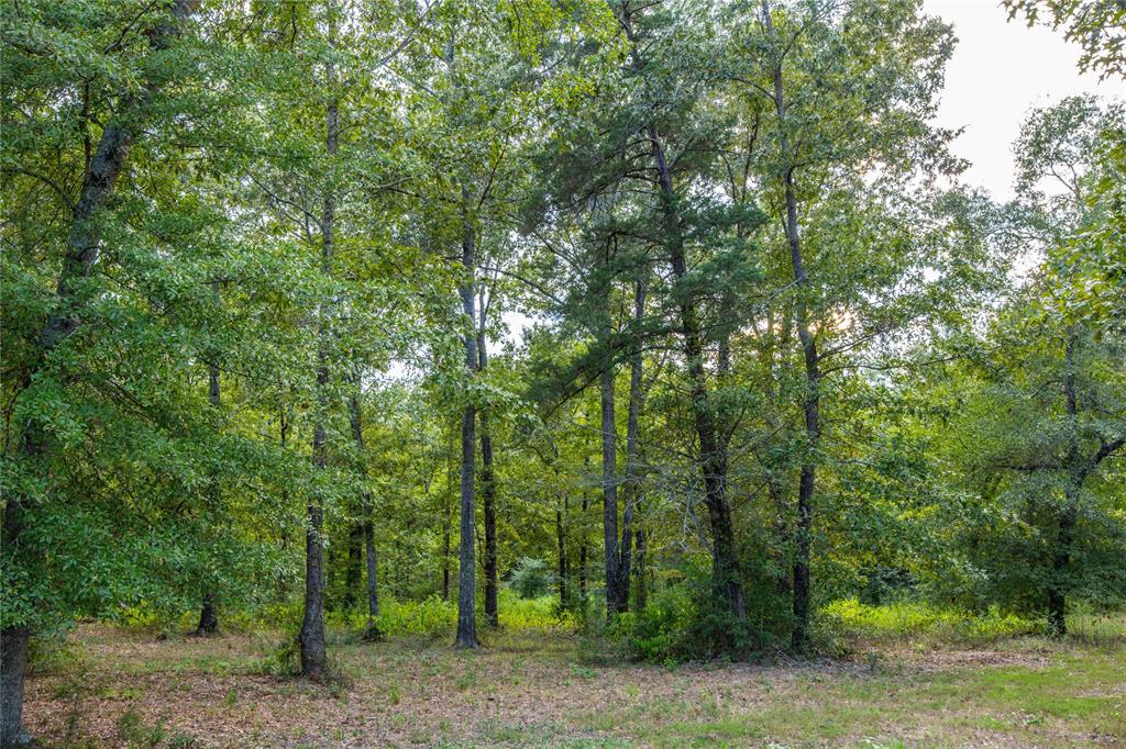 11884 E County Road 398 Property Photo 31