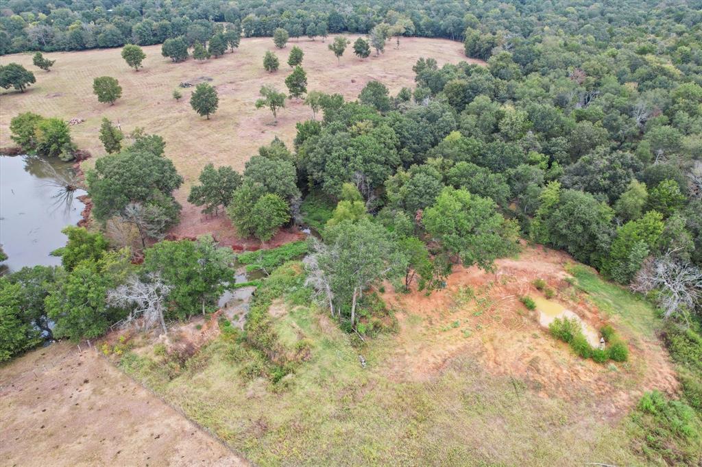 800 State Highway 75 Property Photo 40