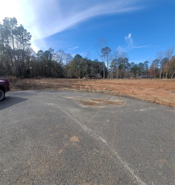 0 Lot 10 Aiden Property Photo 3