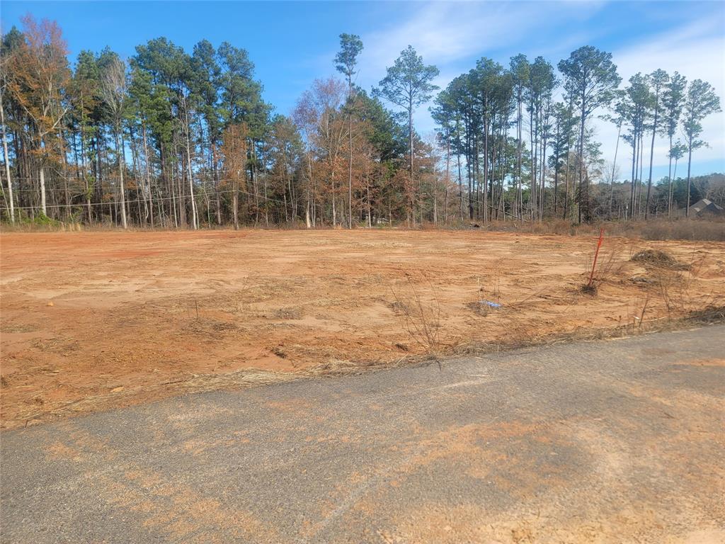 0 Lot 10 Aiden Property Photo 5
