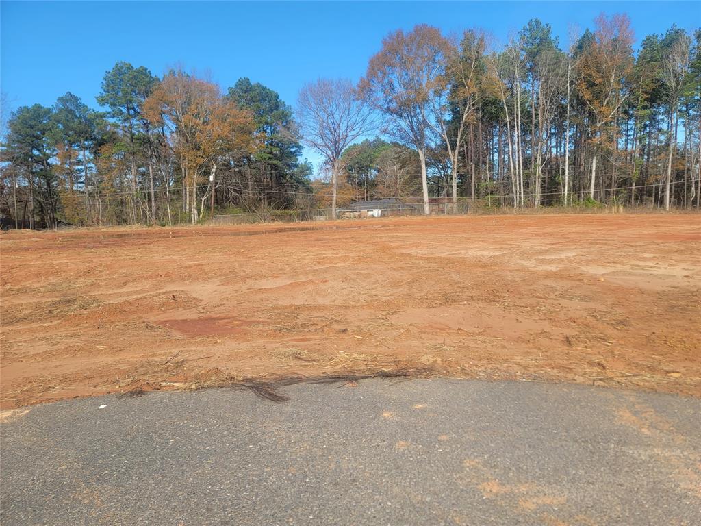 0 Lot 10 Aiden Property Photo 7