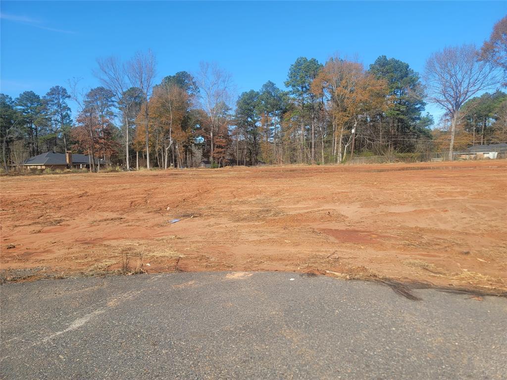 0 Lot 10 Aiden Property Photo 9
