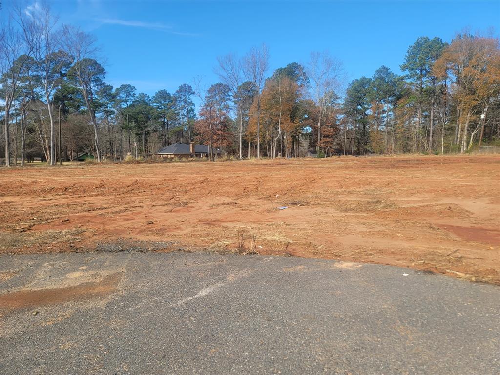 0 Lot 10 Aiden Property Photo 10