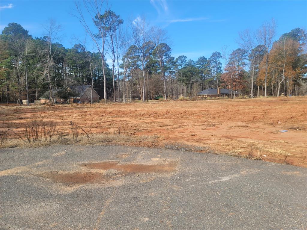0 Lot 10 Aiden Property Photo 11