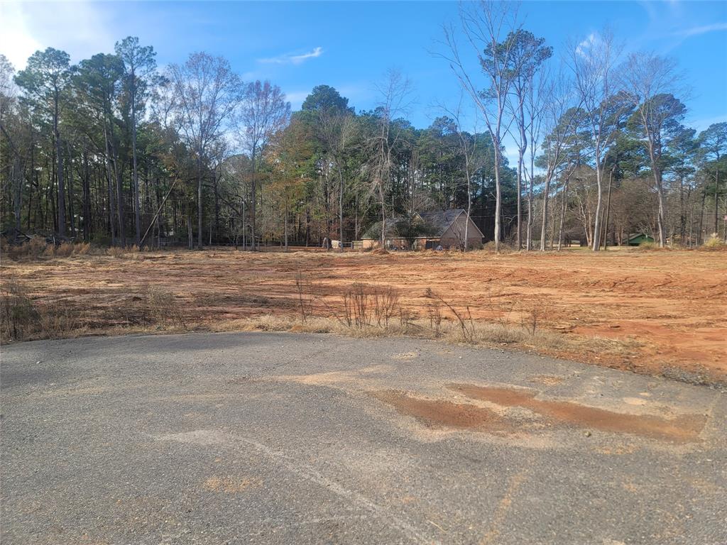 0 Lot 10 Aiden Property Photo 12