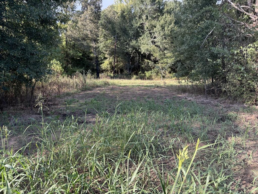 000 Cr 2362 Property Photo 1