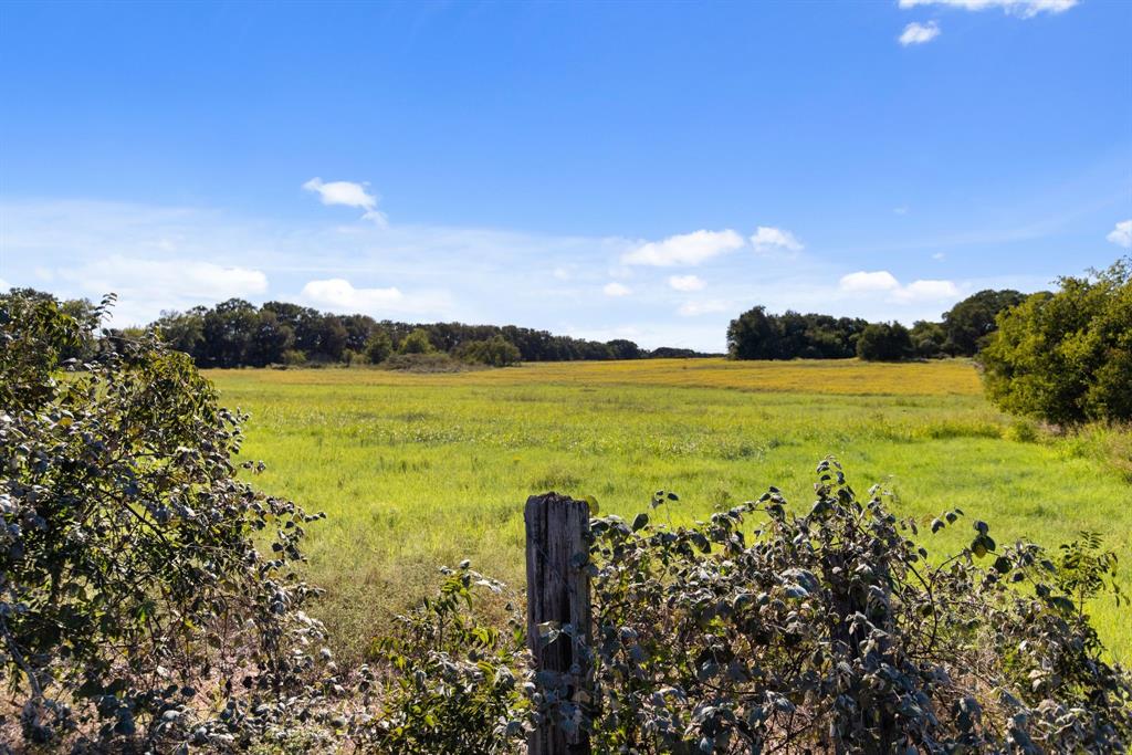 1572 Fm 3433 Property Photo 1
