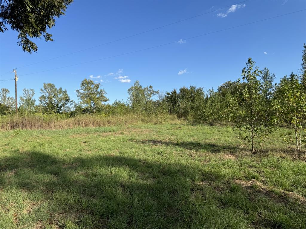 137 Cr 2362 Property Photo 5