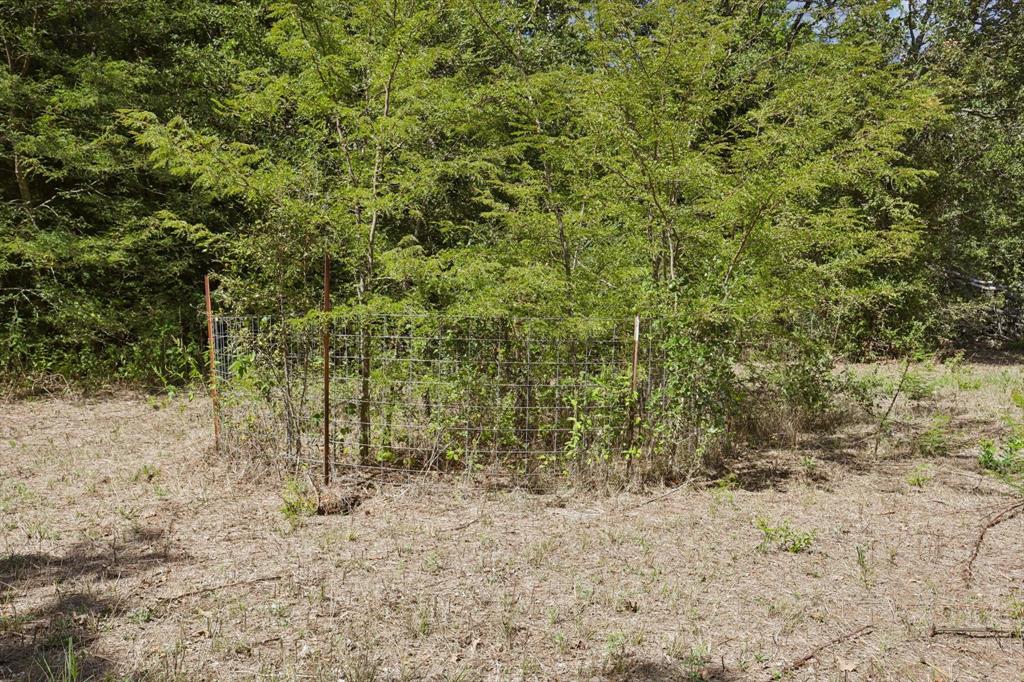1951 W Line Road Property Photo 38