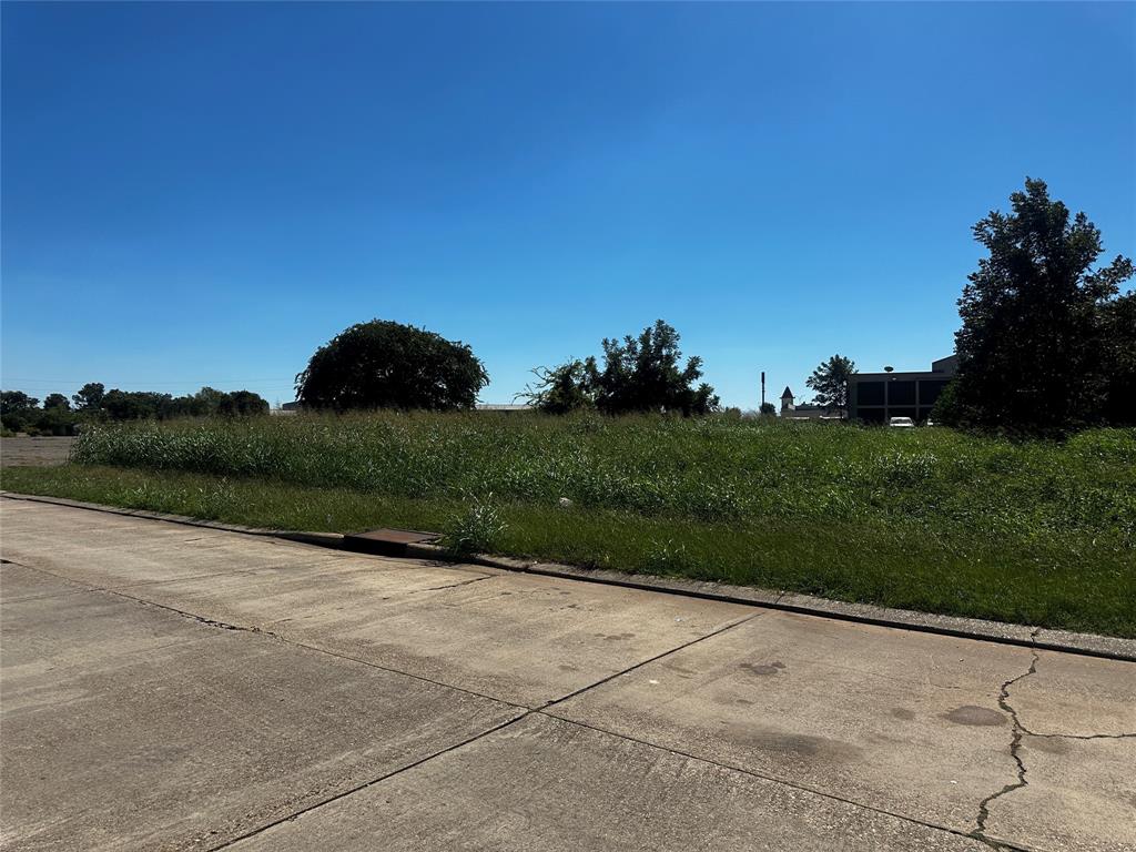 4650 Brandon Spur Property Photo 2