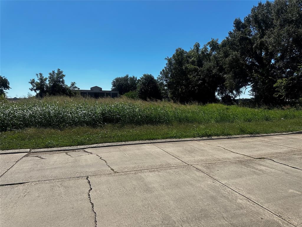 4650 Brandon Spur Property Photo 3