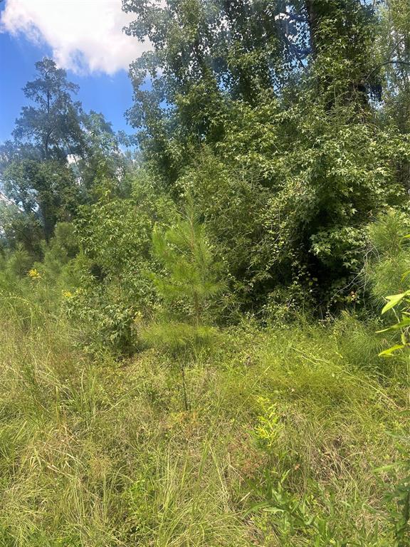 0 Dale Property Photo 1