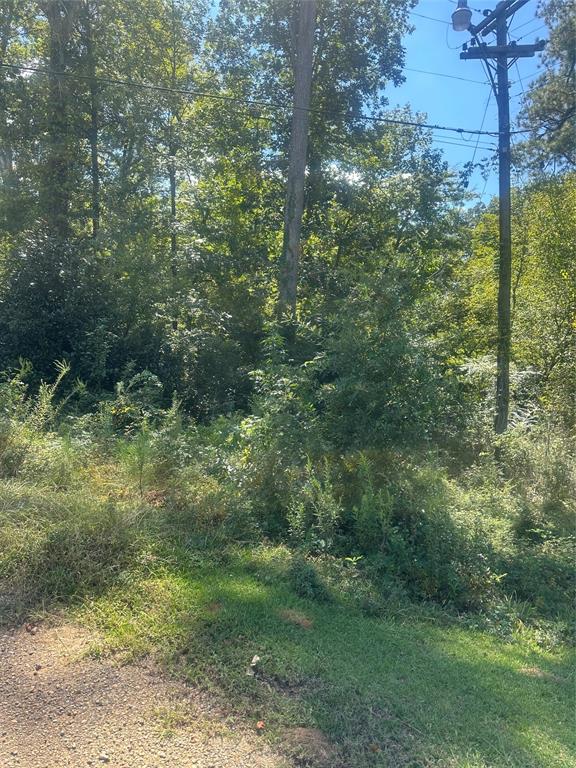 Lot 4 Dale Property Photo 1