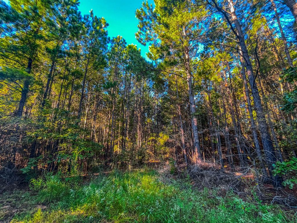 00 W Us Highway 175 Property Photo 2