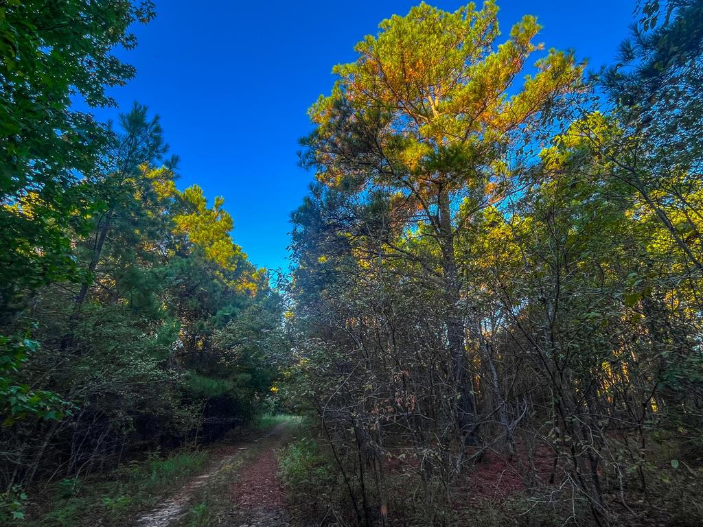 00 W Us Highway 175 Property Photo 5
