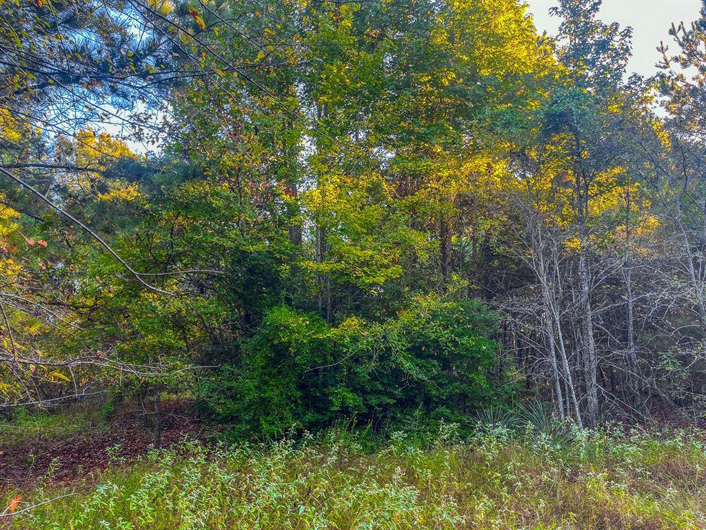 00 W Us Highway 175 Property Photo 8