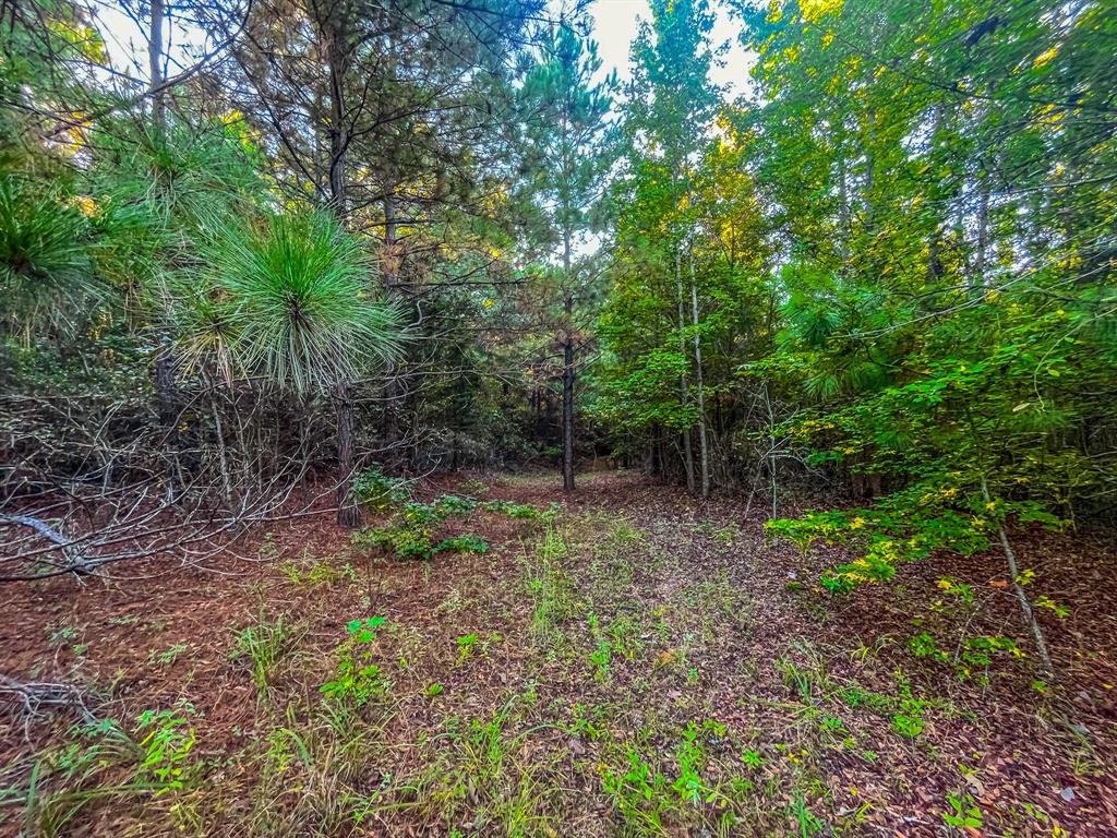 00 W Us Highway 175 Property Photo 10