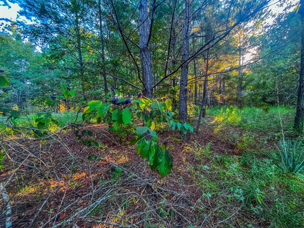 00 W Us Highway 175 Property Photo 11