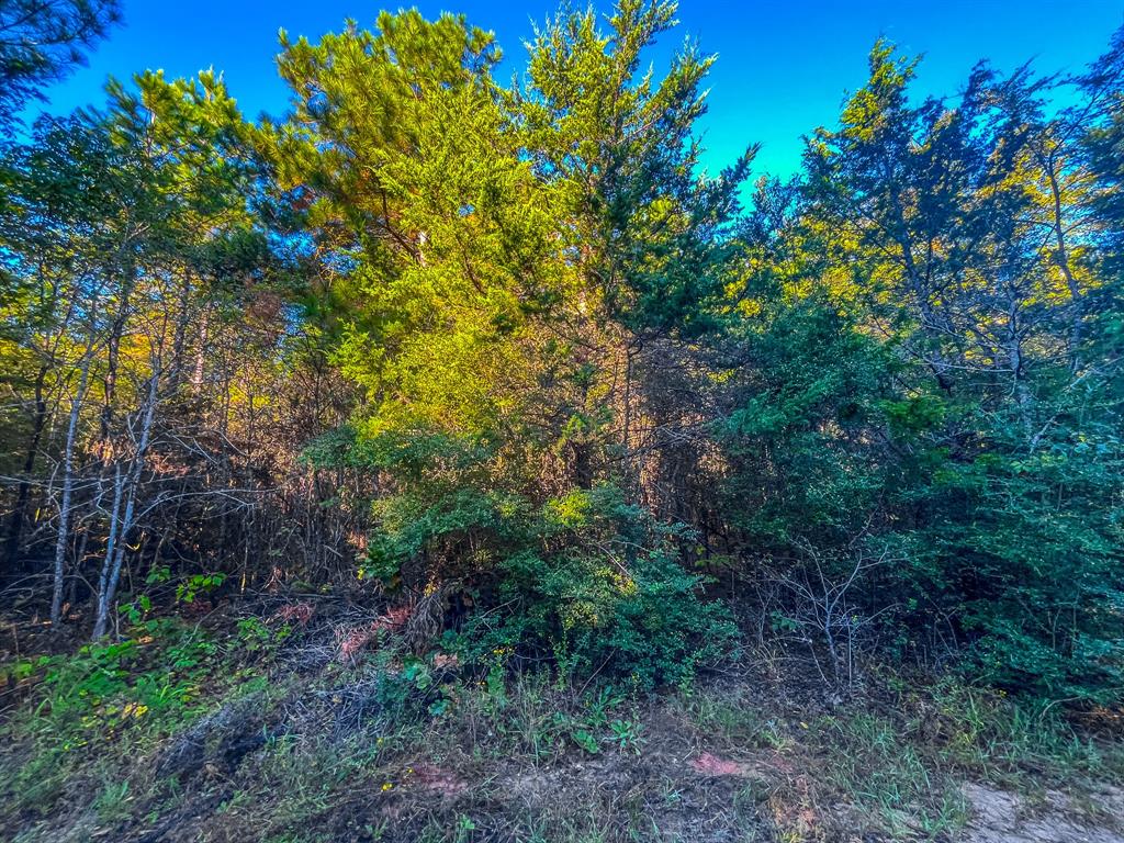 00 W Us Highway 175 Property Photo 13