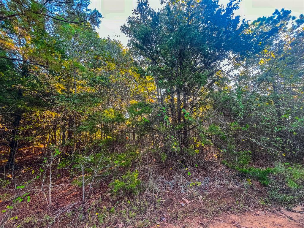 00 W Us Highway 175 Property Photo 15