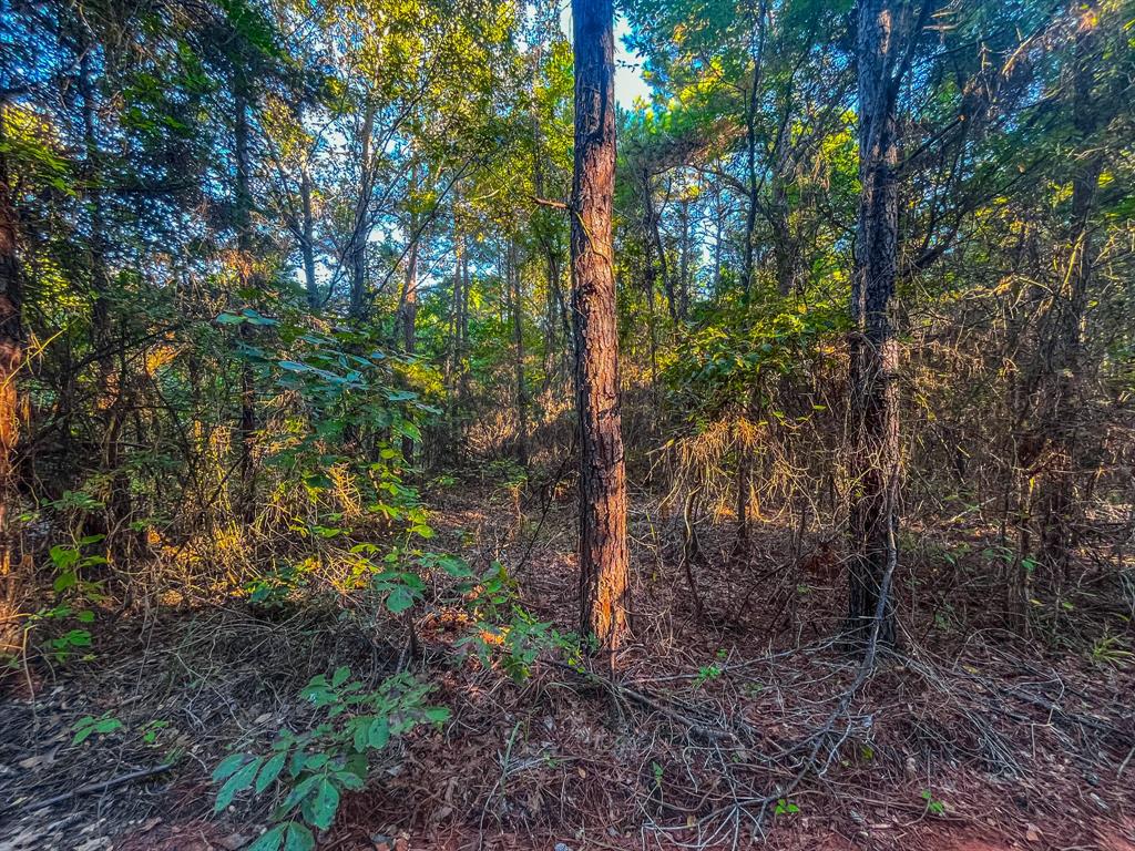 00 W Us Highway 175 Property Photo 17