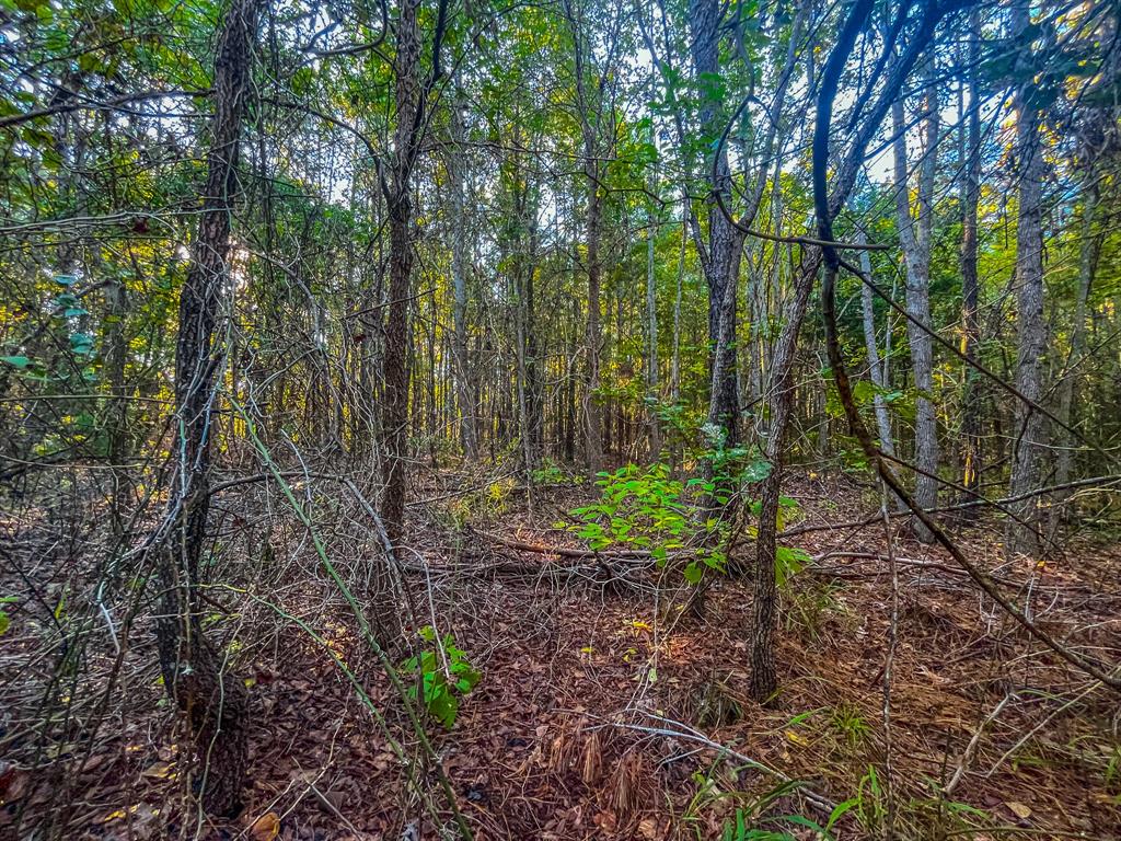 00 W Us Highway 175 Property Photo 18