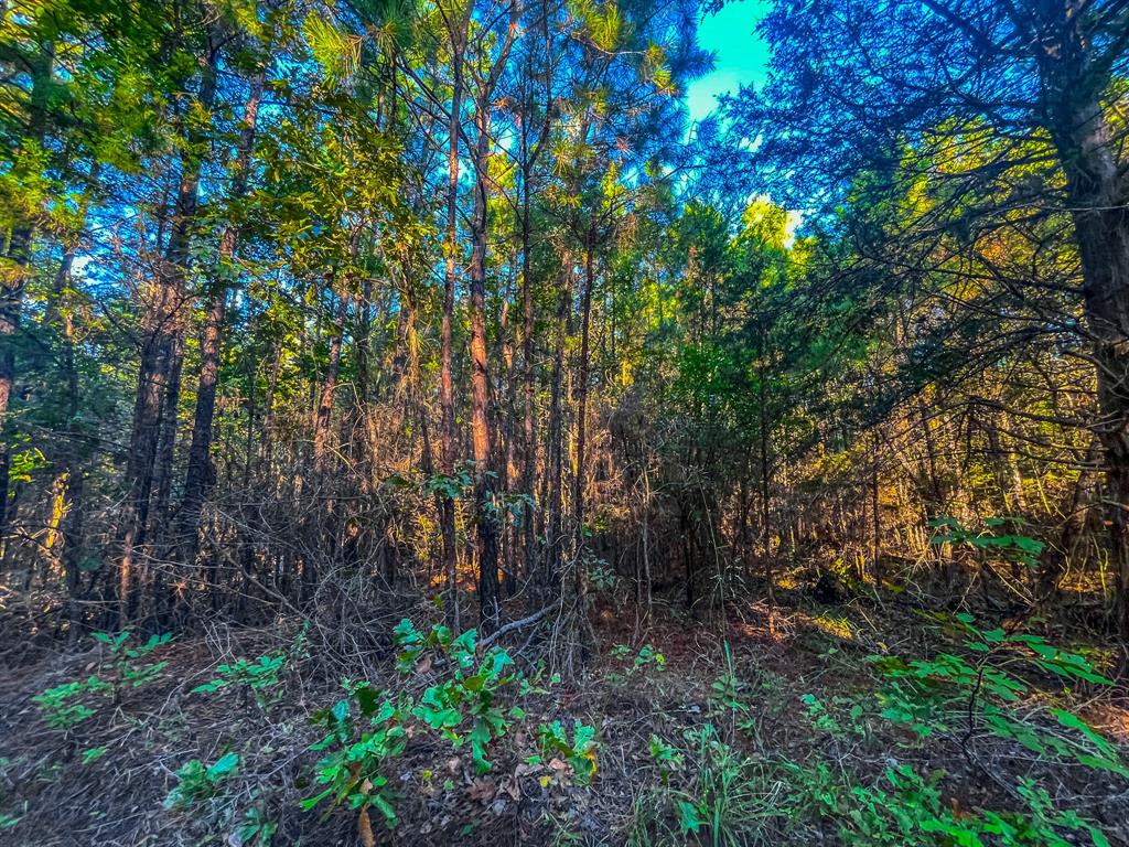 00 W Us Highway 175 Property Photo 21