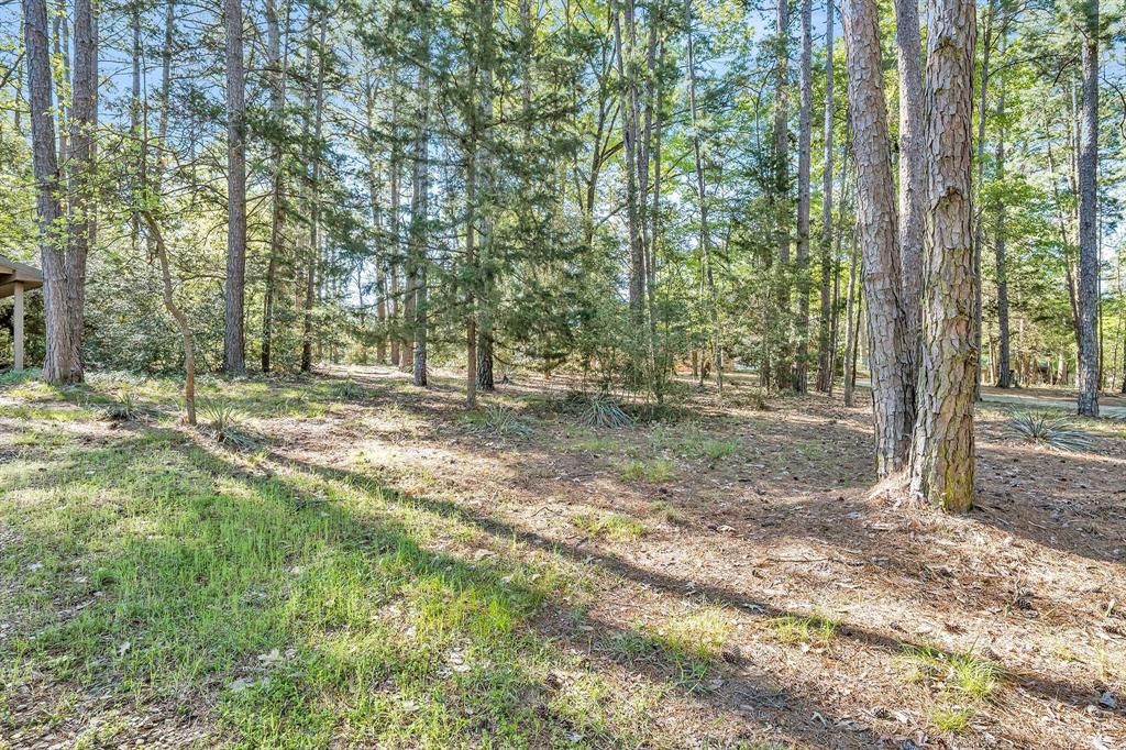 137 Shasta Path Property Photo 25