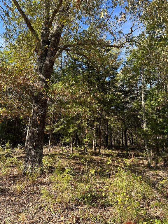 234 Private Road 34615 Property Photo 1