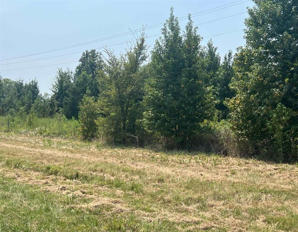 Tbd Fm 1402 Property Photo 2