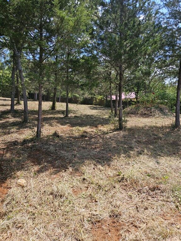 433 Timberline Drive Property Photo 2