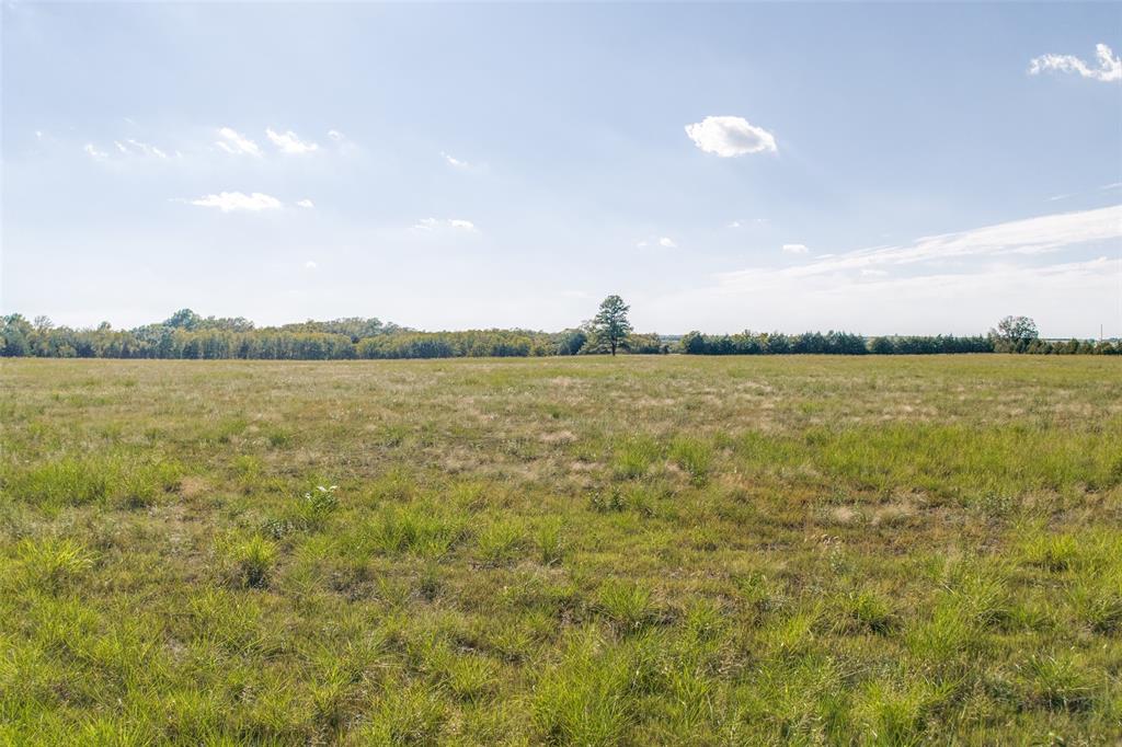 Tract 1 County Road 2975 Property Photo 5