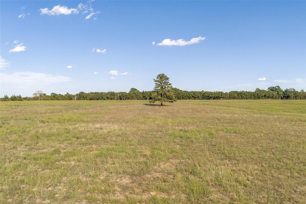 Tract 1 County Road 2975 Property Photo 6