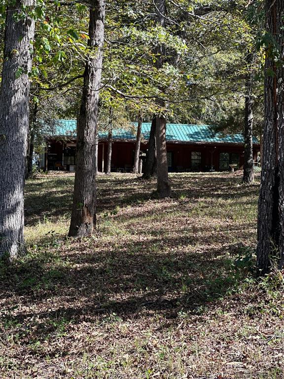 11420 County Road 420 Property Photo 2