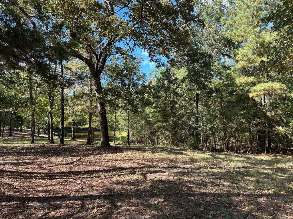 11420 County Road 420 Property Photo 12